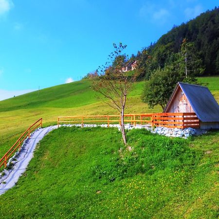 فندق Glamping Vrhovc زلزنيكي المظهر الخارجي الصورة
